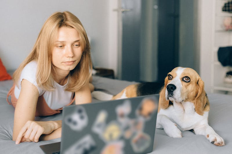 Uma mulher deitada em uma cama usando um laptop, explorando dicas para criar confiança em uma caixa de entrada lotada.